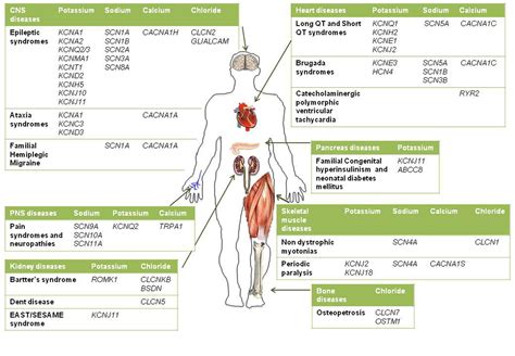 channelopathy meaning.